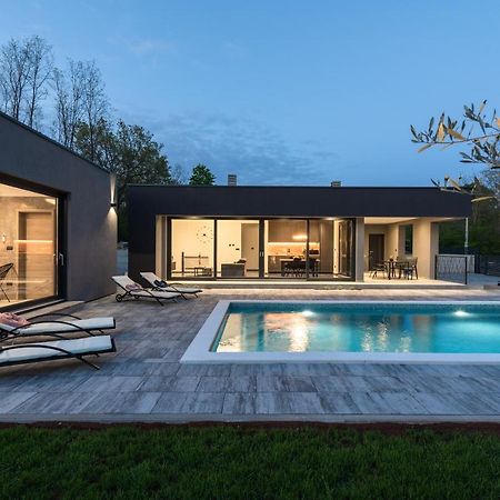 Green Luxury II With Heated Pool, Jacuzzi & Sauna Ruzici  Dış mekan fotoğraf